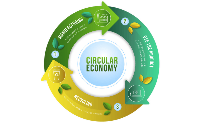 The Role of rPET in Achieving Circular Economy Goals in the Packaging Industry