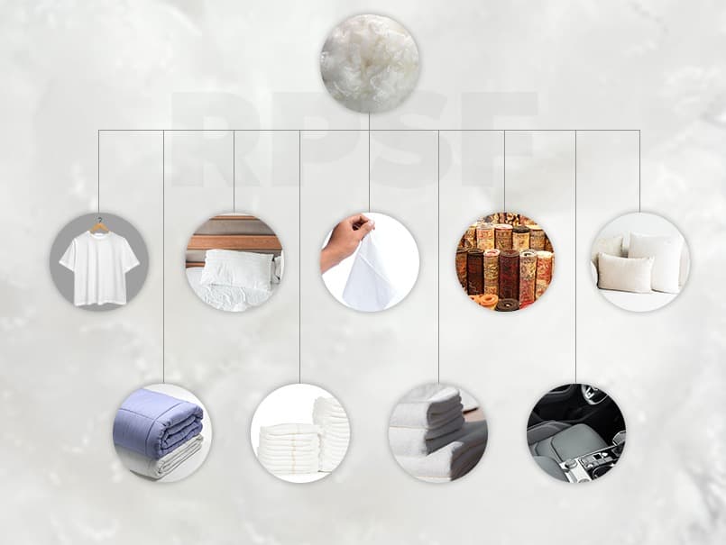 Government and Regulatory Push