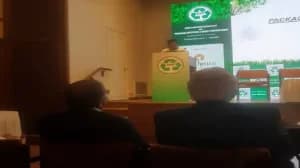 International Conference