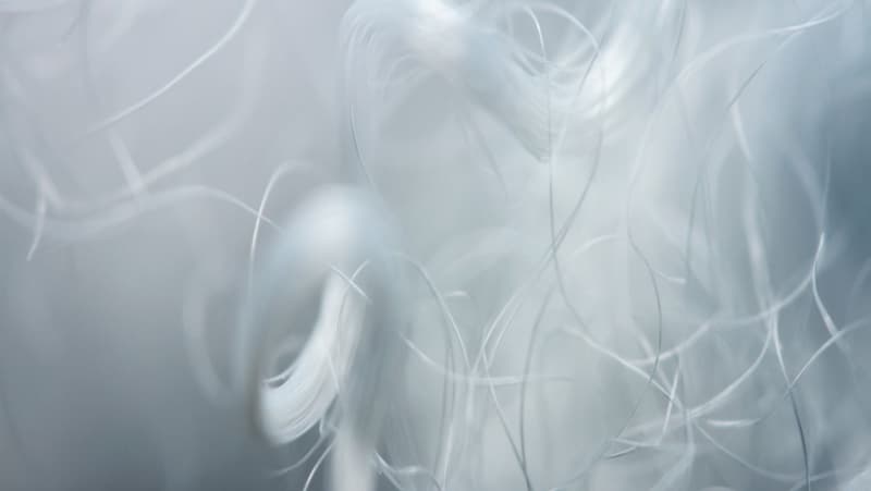Everything you need to Know about Polyester Staple Fibre