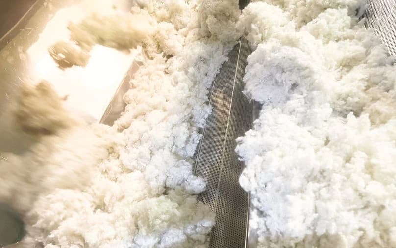 How Many Industries Can One Fibre Impact?