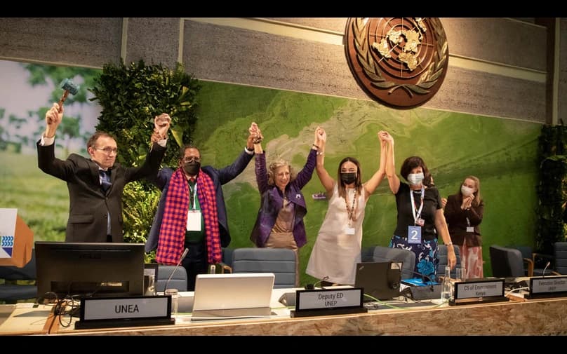 rPET Food-Grade Resins: Key to India's Green Packaging Goals